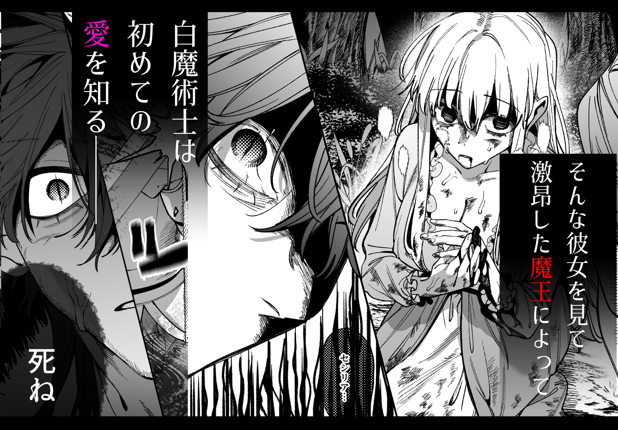 ずたぼろ白魔術師、天然魔王さまの愛玩ペットに堕ちる サンプル3